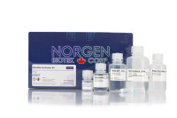 48700 RNA/DNA Purification Kit ( 50 rxn )